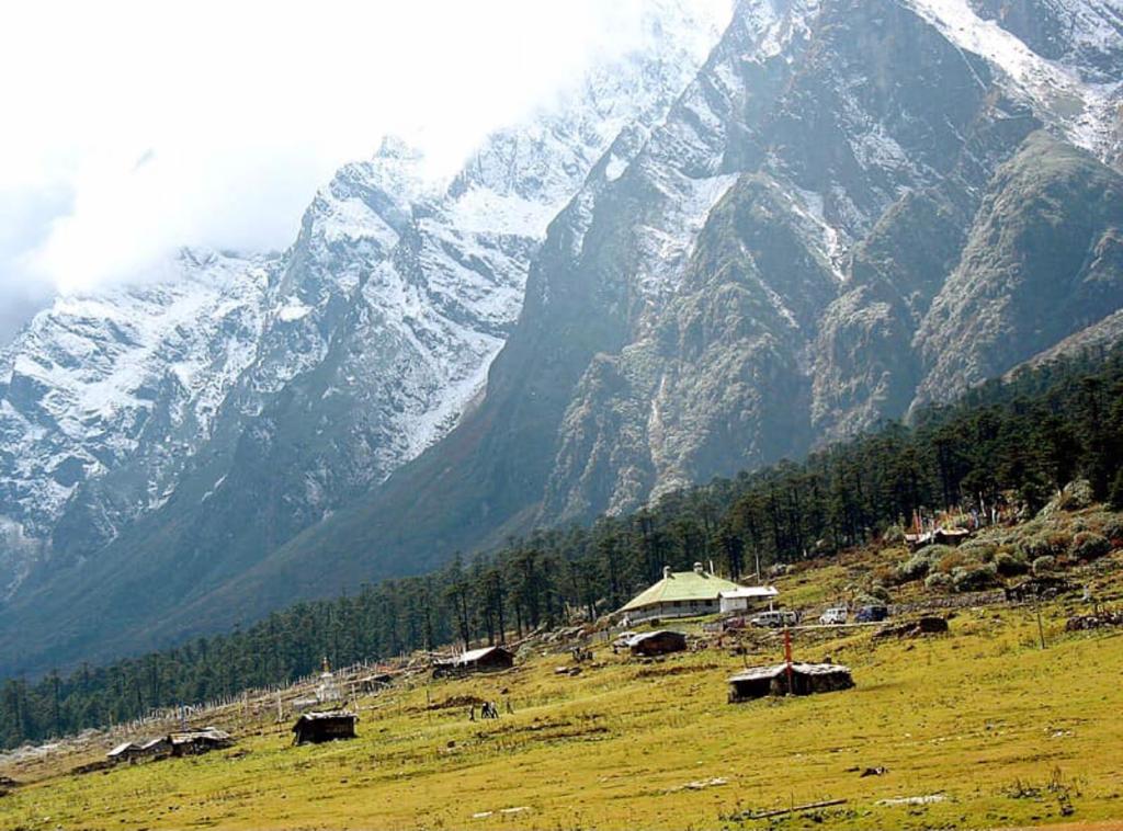 About Areca Treks